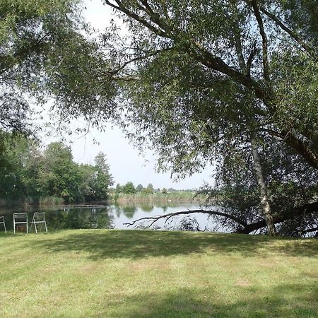 Ferienwohnungen Im Kunst.Haus Am See Doberlug-Kirchhain Exteriér fotografie