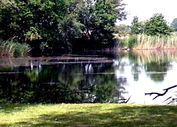 Ferienwohnungen Im Kunst.Haus Am See Doberlug-Kirchhain Exteriér fotografie