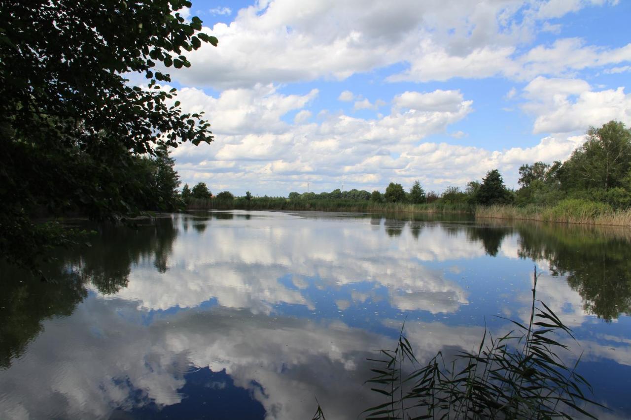 Ferienwohnungen Im Kunst.Haus Am See Doberlug-Kirchhain Exteriér fotografie